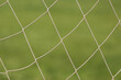 soccer net on a green background