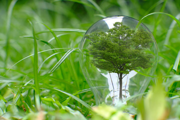 Poster - Light bulb save world and ecology, light bulb on green grass background 