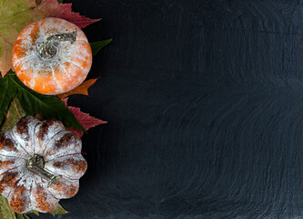 Wall Mural - Autumn decoration with rustic leaves and pumpkins on dark stone