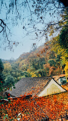 Chinese architecture in the mountains in autumn