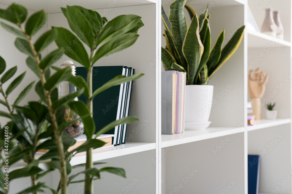 Shelf unit with books, houseplants and decor, closeup