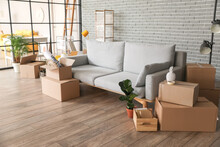 Cardboard Boxes With Belongings And Sofa In Room On Moving Day