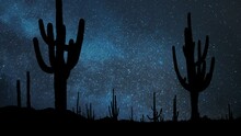Saguaro Sactus Forest, Time Lapse By Night With Stars And Milky Way In Background