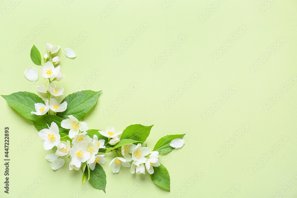 Beautiful jasmine flowers on color background - obrazy, fototapety, plakaty 