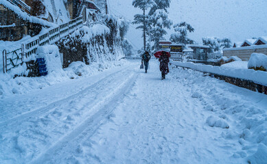 heavy snowfall in Shimla, Himachal Pradesh, India