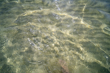 Sunlight reflecting on the clear water of the ocean