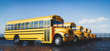 Yellow School Bus Fleet On Parking