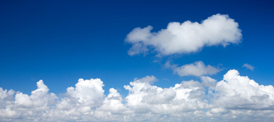 Wall Mural - clouds in the blue sky