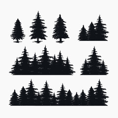 handdrawn pine tree vector ilustration