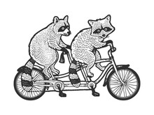 Raccoons Ride Tandem Bike Sketch Engraving Vector Illustration. T-shirt Apparel Print Design. Scratch Board Imitation. Black And White Hand Drawn Image.