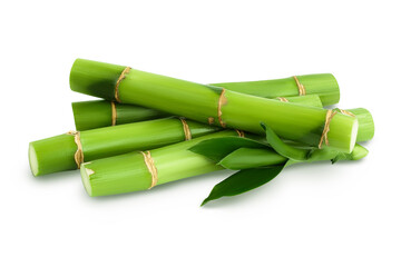 Wall Mural - Green bamboo with leaves isolated on white background with clipping path and full depth of field