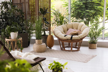 Sticker - Indoor terrace interior with soft papasan chair and green plants