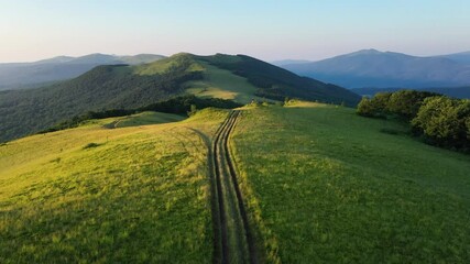 Wall Mural - Magic sunset in summer Carpathian mountains