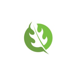 Poster - organic leaves icon vector design template