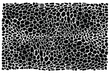 Reptile skin. Animal print background.
