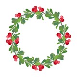 Fototapeta  - Wreath of bearberry on a white background with place for text. Vector illustration