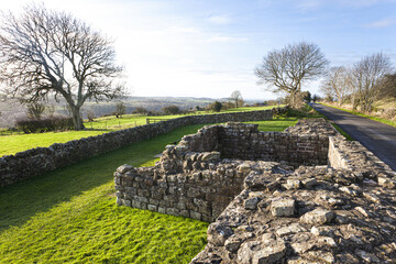 Wall Mural - Banks Turret on Hadrians Wall near Lanercost, Brampton, Cumbria UK