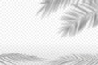 © VectorART - Background with the shadow of a palm tree.