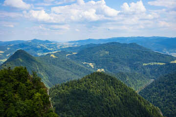 Wall Mural - view from the top of mountain, Pieniny, Poland