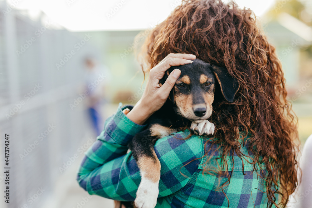 Young adult woman holding adorable dog in animal shelter. - obrazy, fototapety, plakaty 