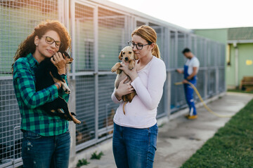 Wall Mural - Two young adult women adopting beautiful dogs at animal shelter.