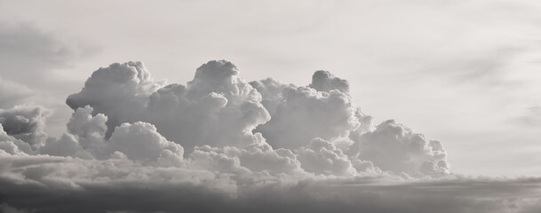 Wall Mural - clouds white soft in nature landscape