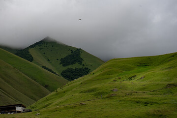 landscape, sky, mountain, nature, summer, grass, green, hill, mountains, clouds, cloud, rock, valley, countryside, travel, view, outdoors, blue, scenery, river, spring, forest, meadow, water, field, s