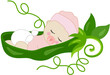 Baby girl pea in a green pod
