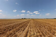 © leomalsam - Harvested field with several rolled hay bales in Summer