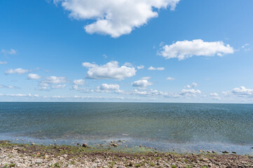 Wall Mural - baltic sea in estonia