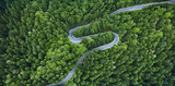 Fototapeta Tulipany - Aerial View of a road on a forest