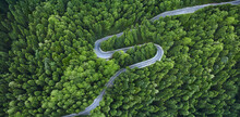 Aerial View Of A Road On A Forest