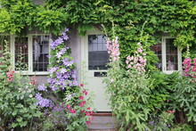 Old House With Flowers