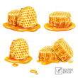 3d realistic isolated vector set with honey, honeycomb pieces in various versions