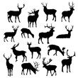 Collection of silhouettes of Deer vector Illustration Eps 10