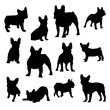 Collection of french bulldog Silhouette vector Illustration Eps 10