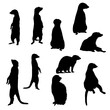Set of Meerkat Silhouette vector Illustration Eps 10
