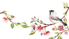 Birds On Sakura Branches. Watercolor Illustration Of A Blooming Cherry Tree. Symbol Of Spring.