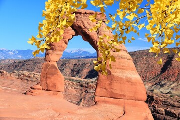 Wall Mural - Delicate Arch in USA - autumn leaves seasonal view.