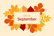Hello September banner. Autumn background with leaves. Vector graphics