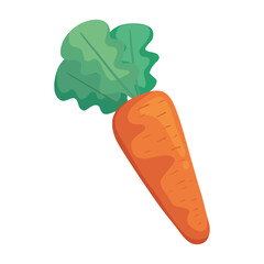 Wall Mural - carrot vegetable icon