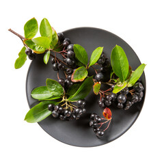 Wall Mural - Black chokeberry berries ( Aronia melanocarpa ) on black plate isolated on white. Top view.