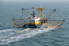 The Noordster From Wieringen Fishing In The Wadden Sea Near Texel, Noord-Holland Province, The Netherlands