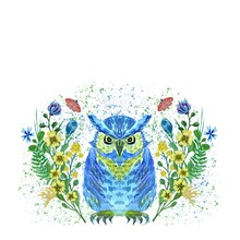Watercolor Illustration With Owl And Flowers For Frame, Cards, Invitation