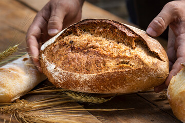 Aufkleber - Bakery background. Fresh crunchy loaf of bread in the hands of a baker close up
