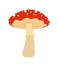 Red Mushroom Design