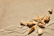 Sea shells and starfich on sand as background. Top view. Background for product