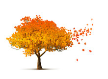 Red Autumn Tree Isolated With Maple Leaves Falling, 3D Illustration