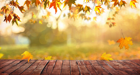 orange fall  leaves and old wooden board, autumn natural background