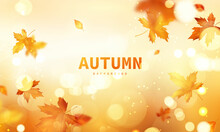 Autumn Sale Falling Leaves Background Nature